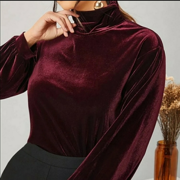 Burgundy Velour Blouse - Picture 5 of 5